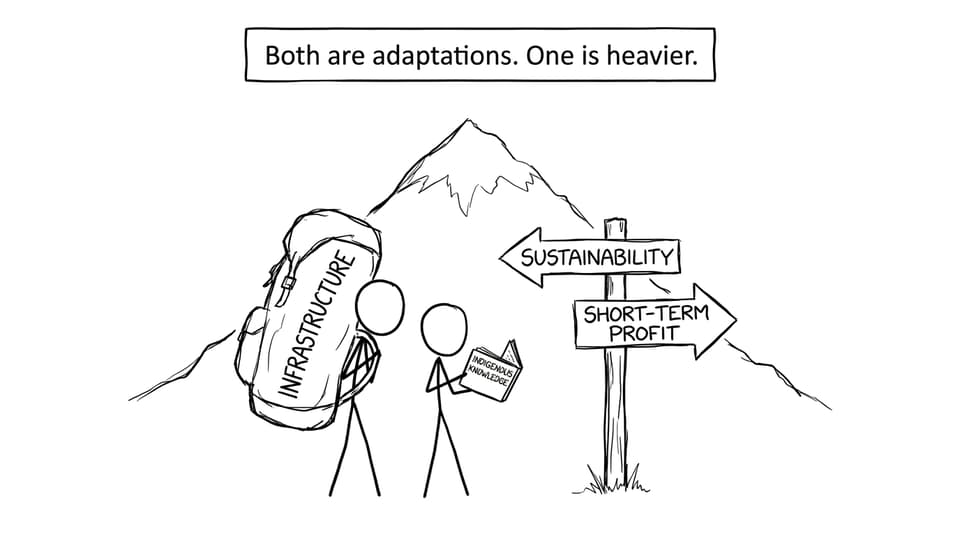 Adaptations comic: heavier vs lighter solutions