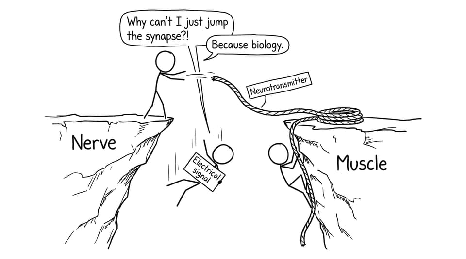 Synapse rope bridge comic