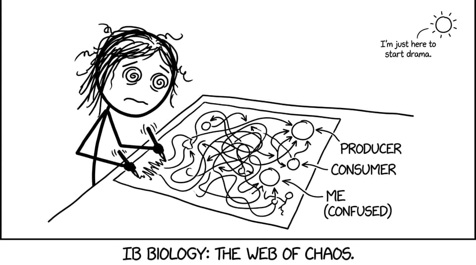 A student draws a chaotic food web joke