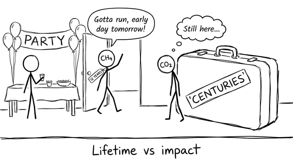 Lifetime vs impact party joke