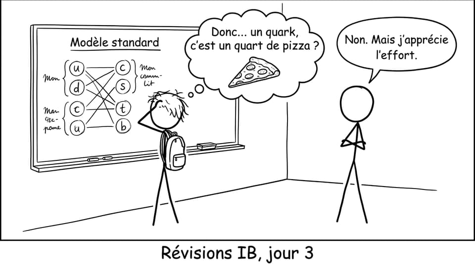 BD sur les quarks et la pizza