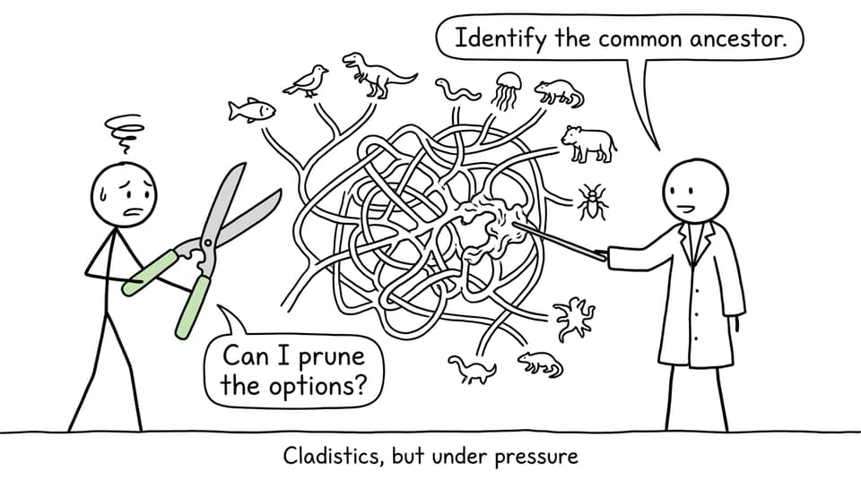 XKCD-style comic about interpreting a cladogram under exam pressure