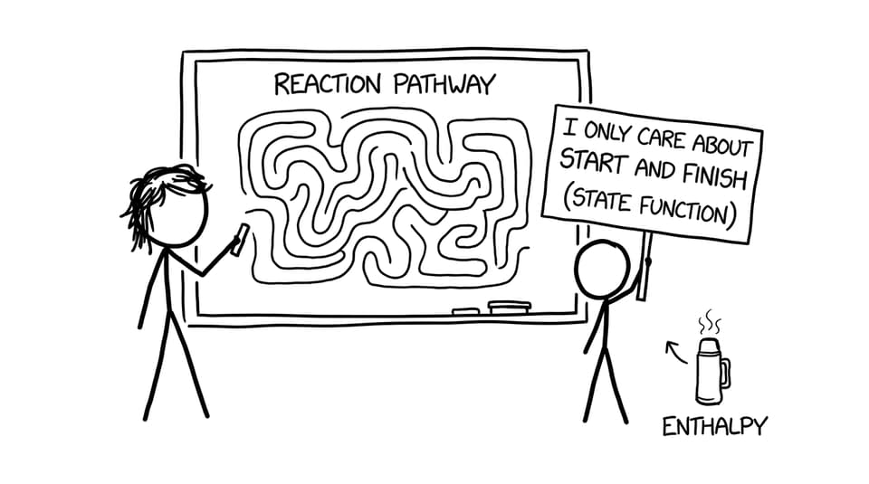 Maze vs state function joke