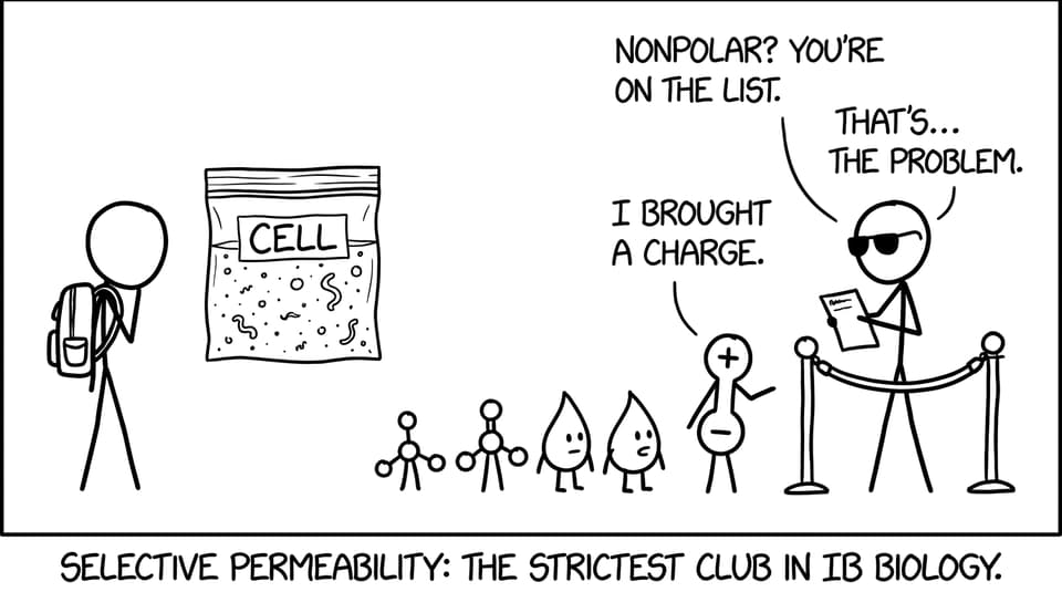 Selective permeability club joke