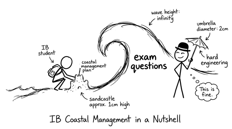 IB student vs wave of exam questions