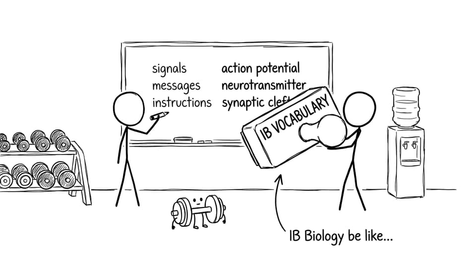 Stamping in IB vocabulary comic