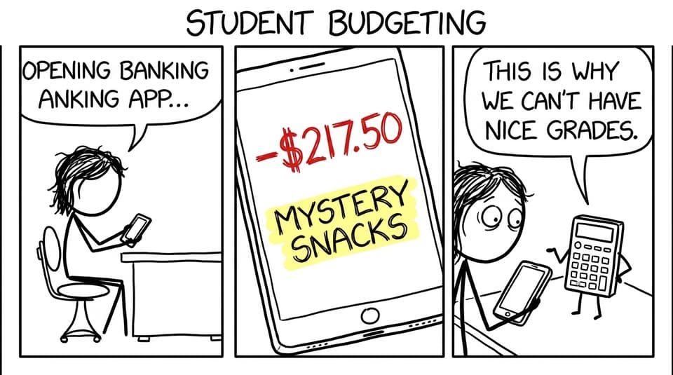 An IB student discovers the "mystery snacks" budget category