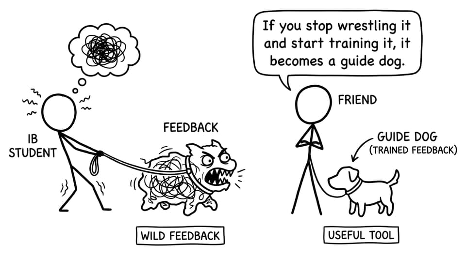 IB student training feedback like a guide dog