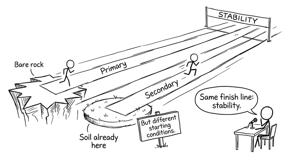 Primary vs secondary: same finish line, different starts