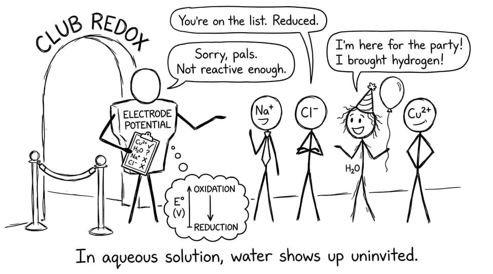 Ions at a nightclub bouncer labeled electrode potential
