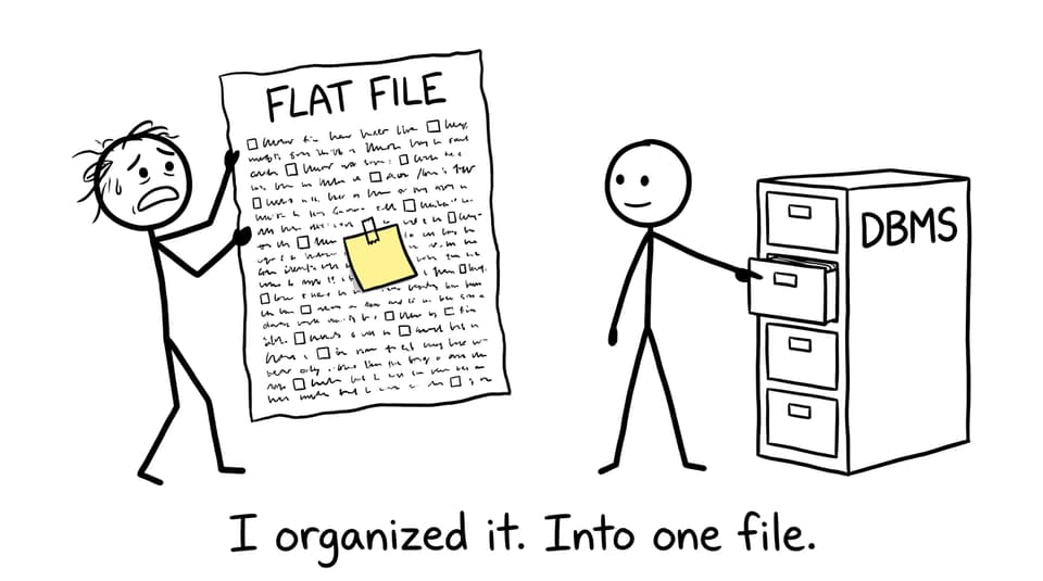 A flat file gone wild vs a DBMS