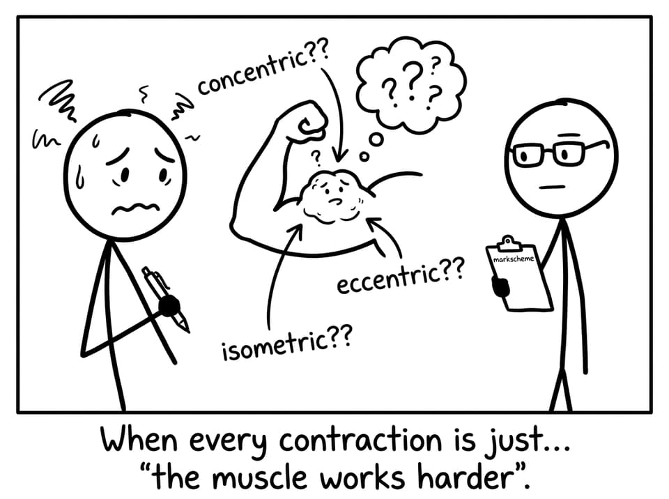 A student confusing contraction types in an arm curl