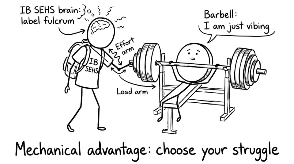 IB student explains levers to a barbell