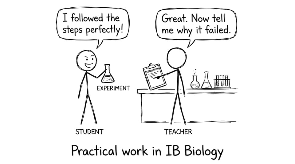 Comic about evaluation in practical work