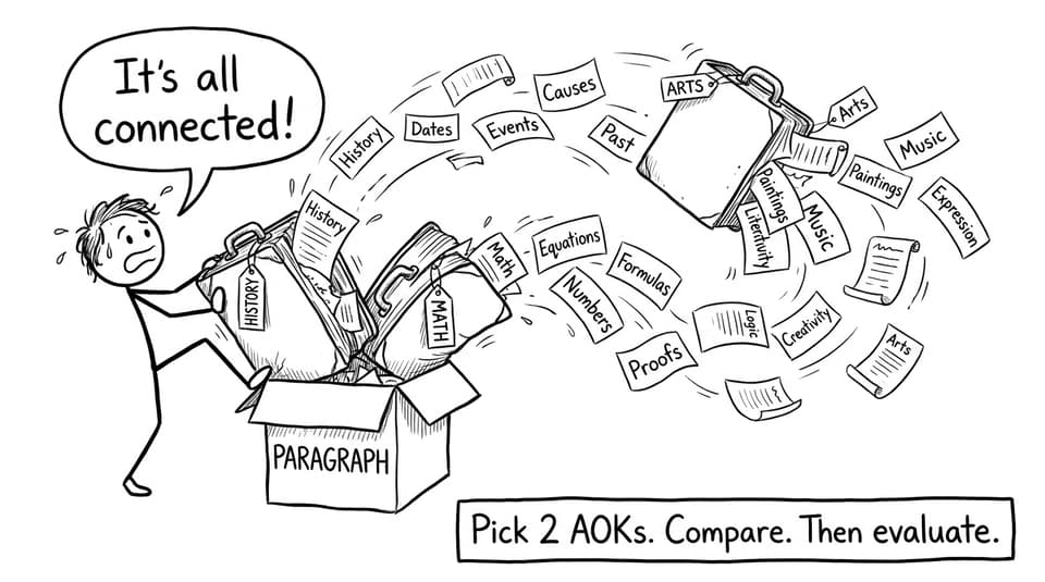 AOK suitcase comic