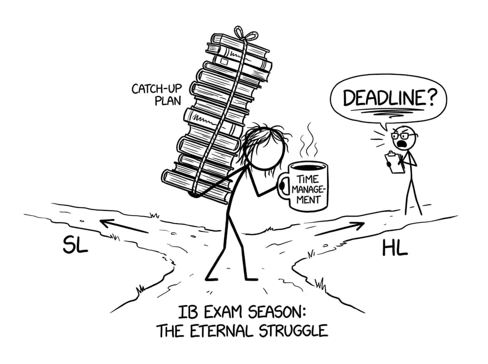 Student choosing SL vs HL fork in the road