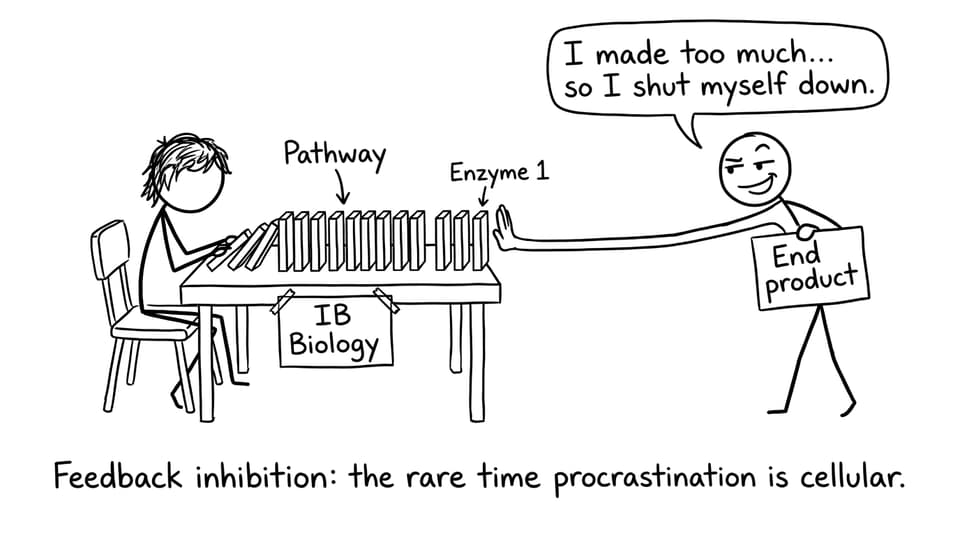 Feedback inhibition domino joke