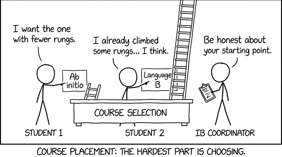 Choosing between Ab initio and Language B