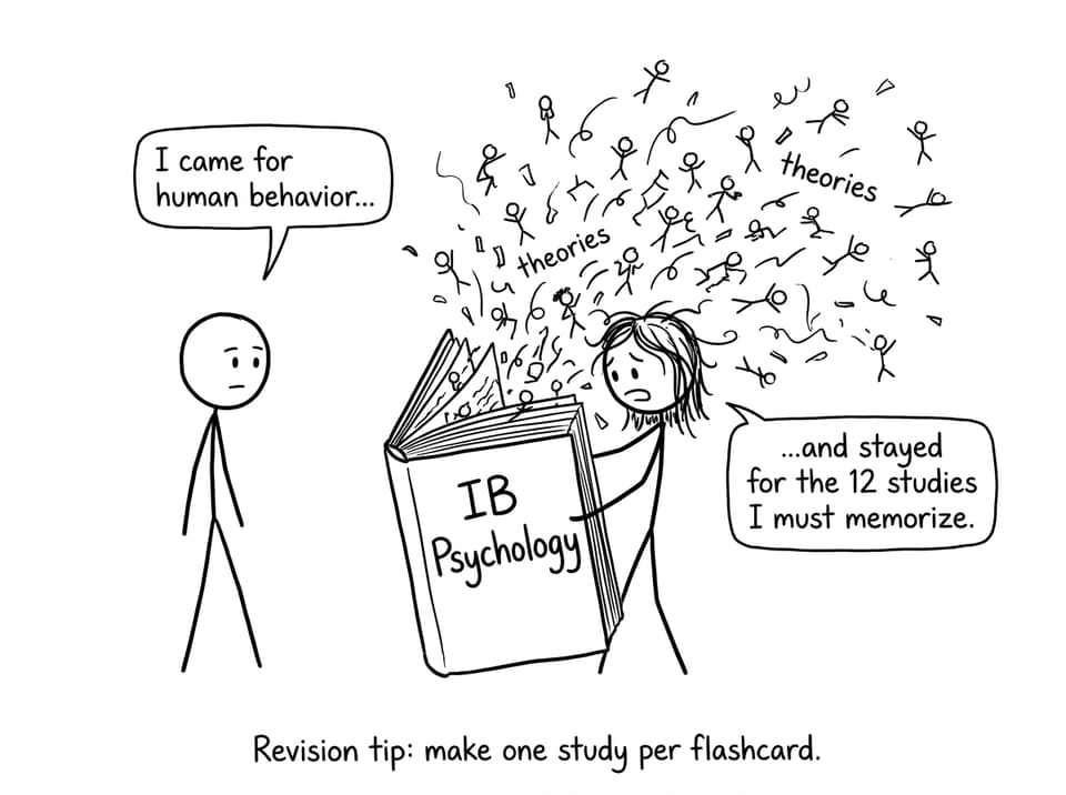 IB Psychology theories spilling out