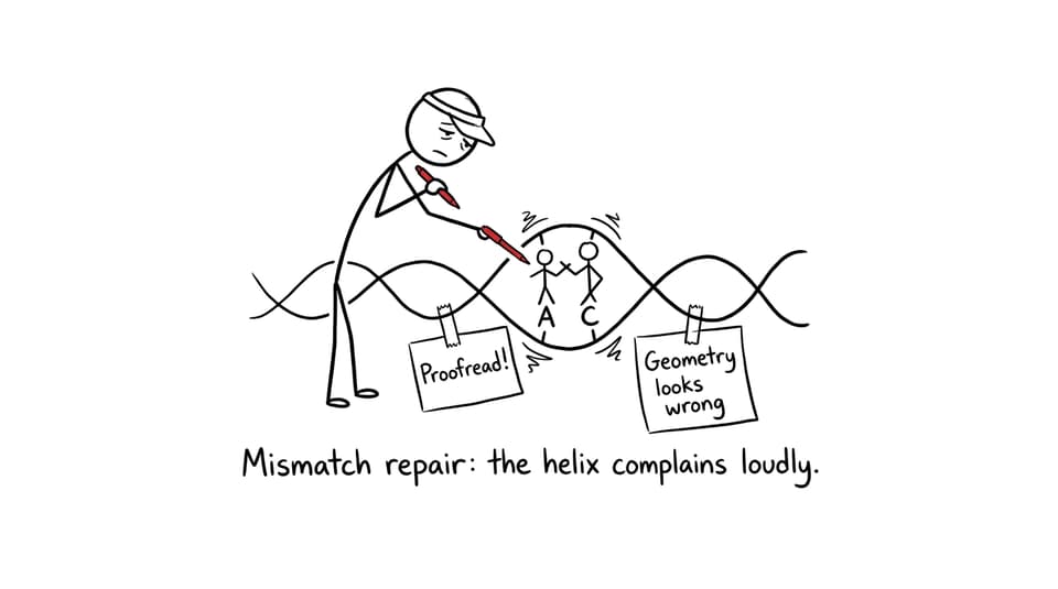 Mismatch repair editor joke