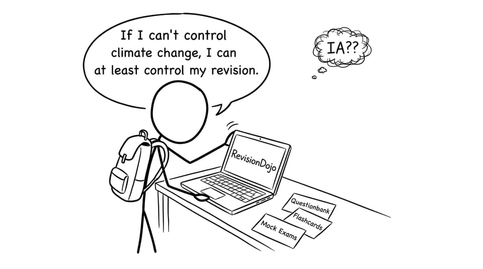 RevisionDojo revision control joke