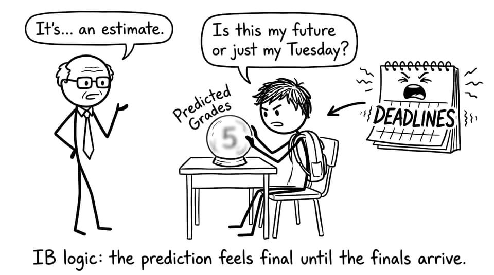 IB student stares at crystal ball predicted grades