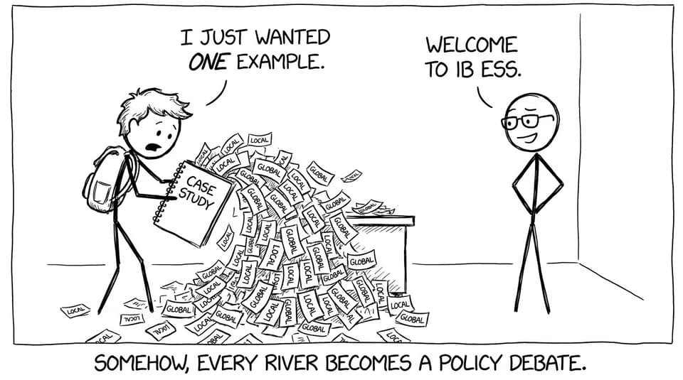 IB ESS case study avalanche comic