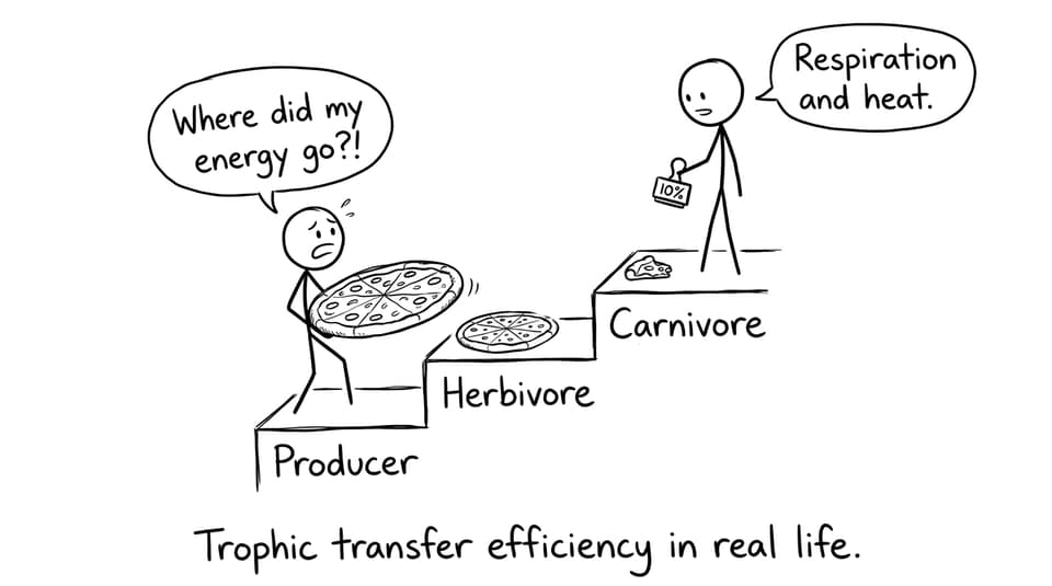 The 10% rule as a shrinking pizza