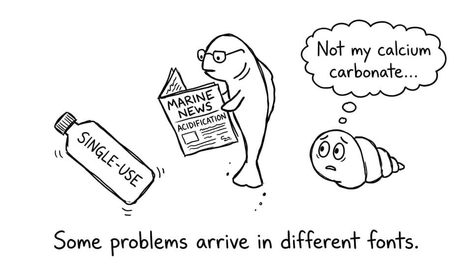 Marine news: acidification