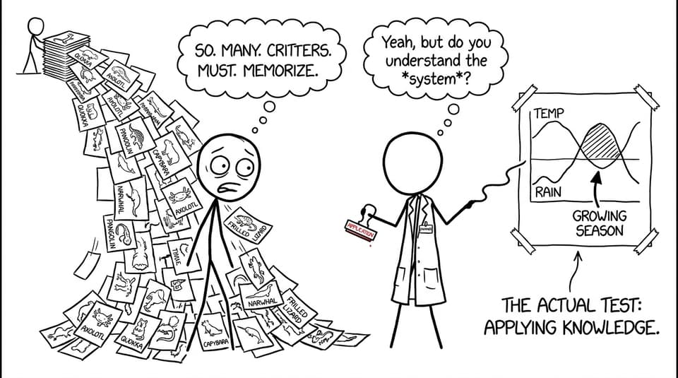 Flashcards waterfall vs examiner stamp that says APPLICATION