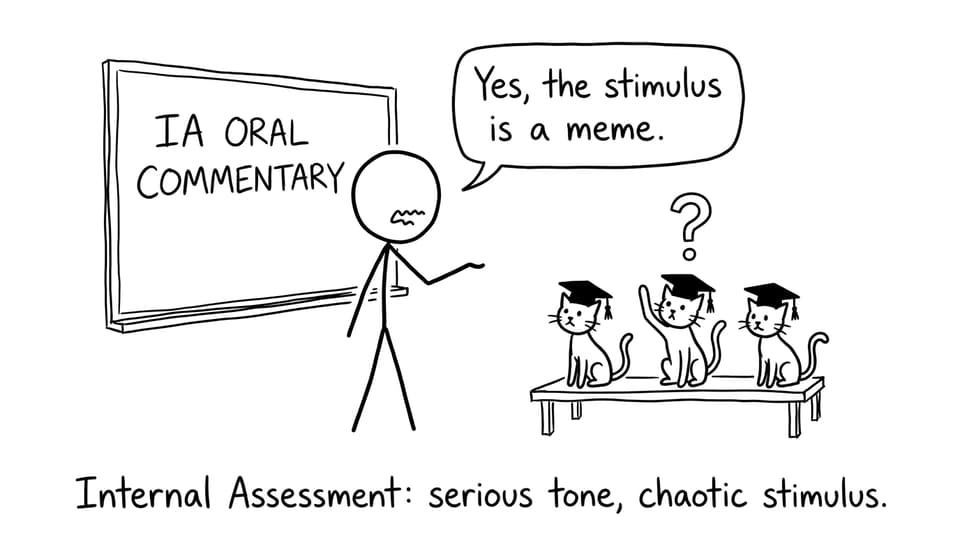 Internal Assessment: serious tone, chaotic stimulus.
