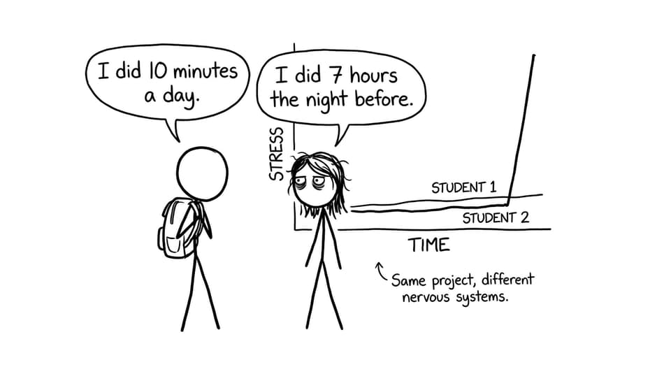 Same project, different nervous systems