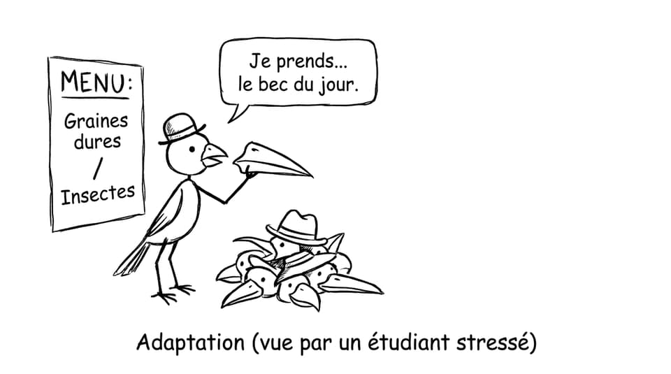 Adaptation vue par un étudiant stressé