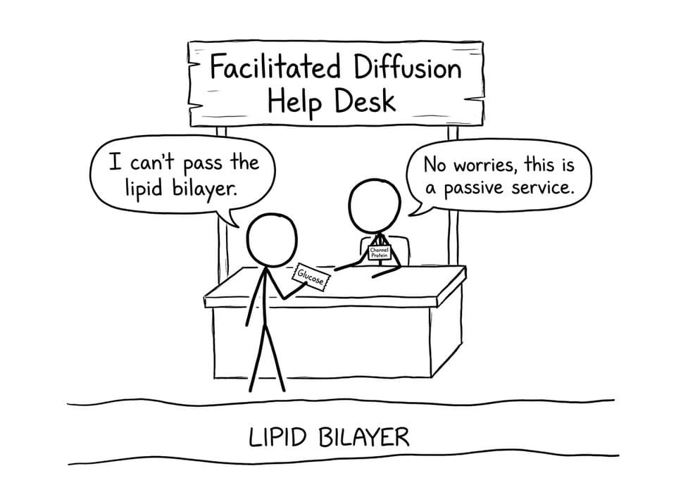 Facilitated diffusion help desk comic
