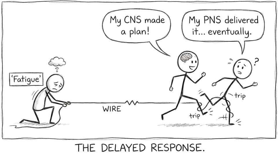 Plan vs delivery vs fatigue