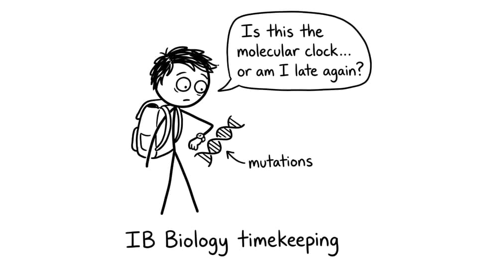 Student mistakes DNA for a wristwatch