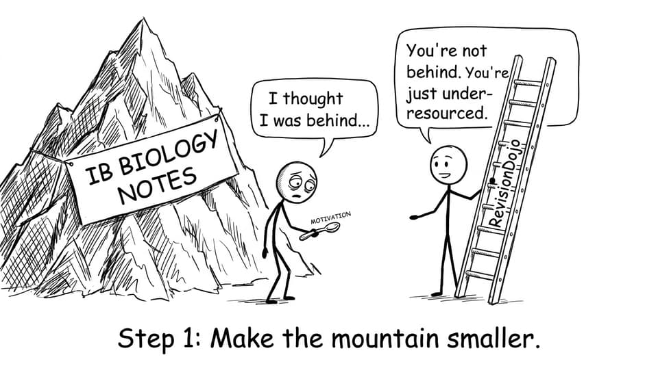 Student facing a mountain of notes