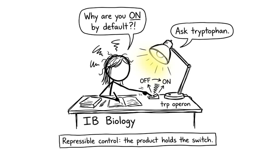 IB Biology student vs trp operon switch joke