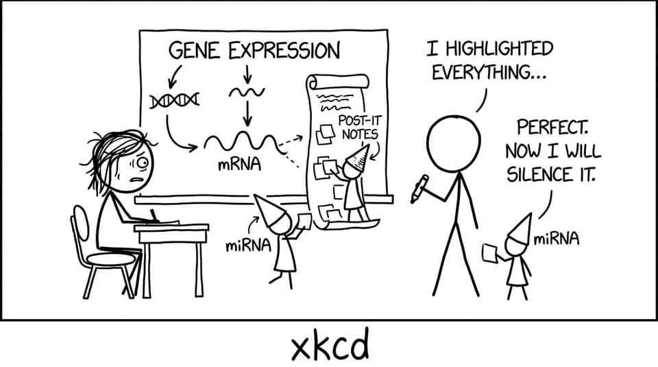 Stick figures studying miRNA chaos