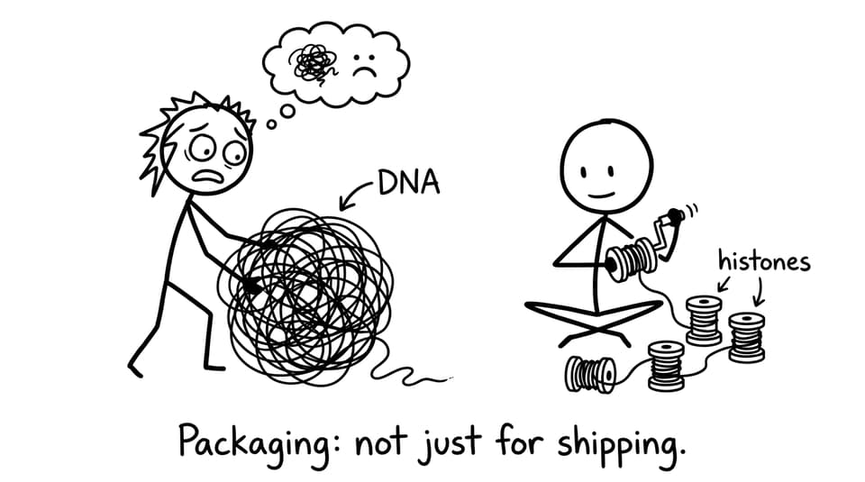 Packaging: not just for shipping