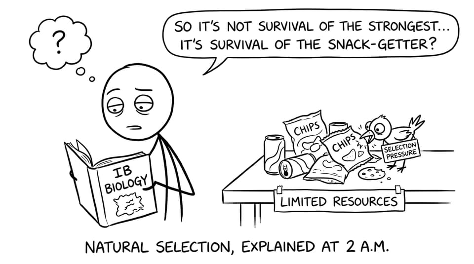 Student vs snack-getter natural selection comic