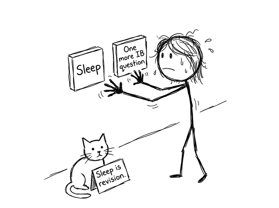 A student chooses between sleep and one more question