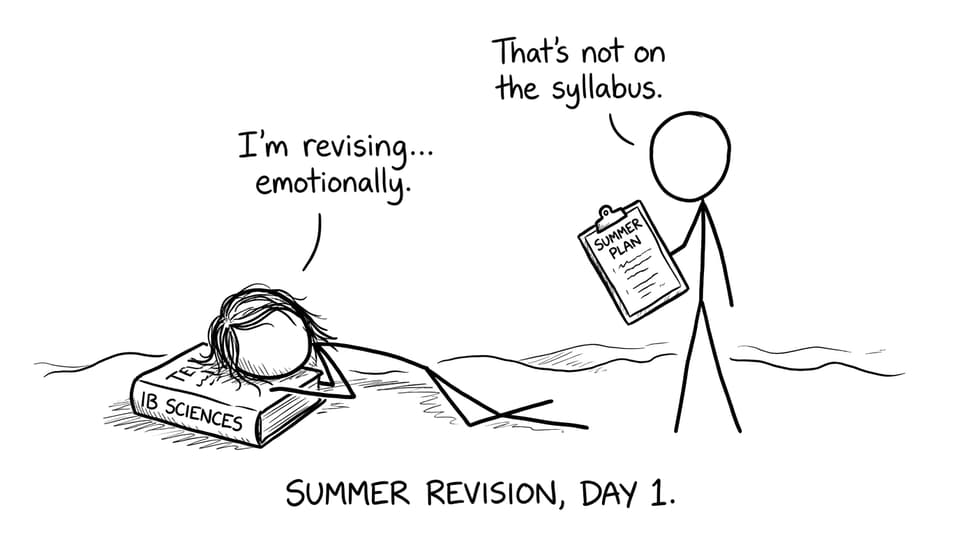 Summer revision, day 1 comic