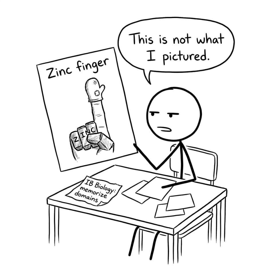 Zinc finger flashcard joke