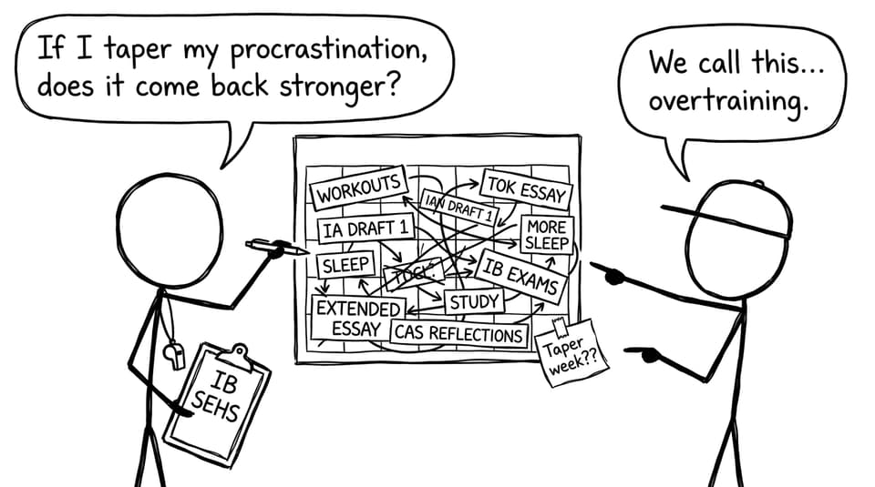 IB SEHS student periodizes procrastination