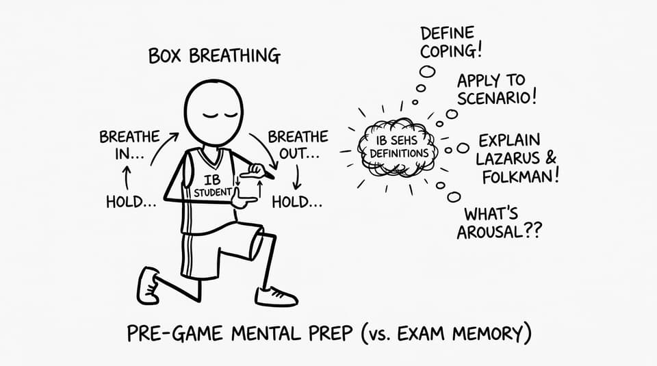 An IB student tries box breathing while their brain screams “define coping!”