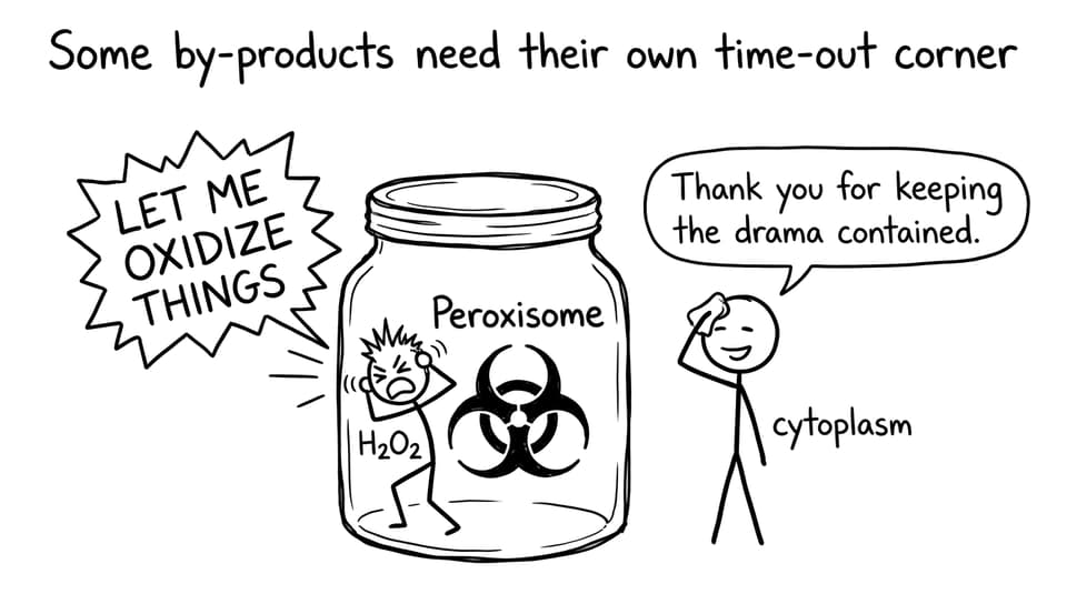 Some by-products need their own time-out corner