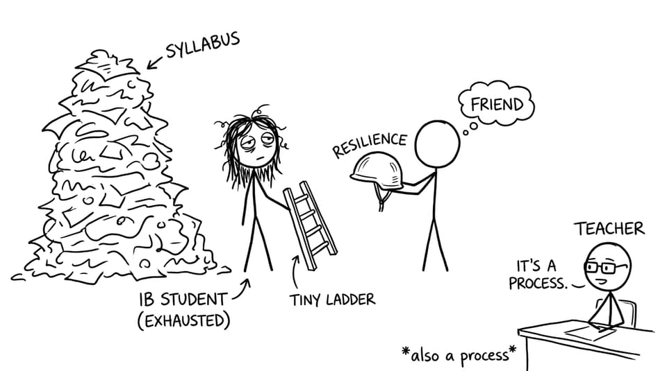 IB student with ladder of reflection and helmet of resilience