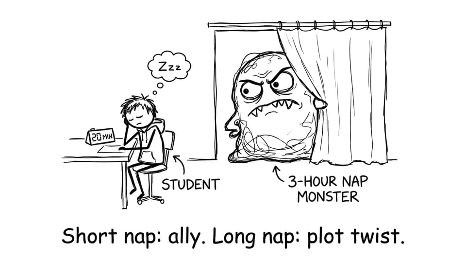 Short nap vs long nap joke