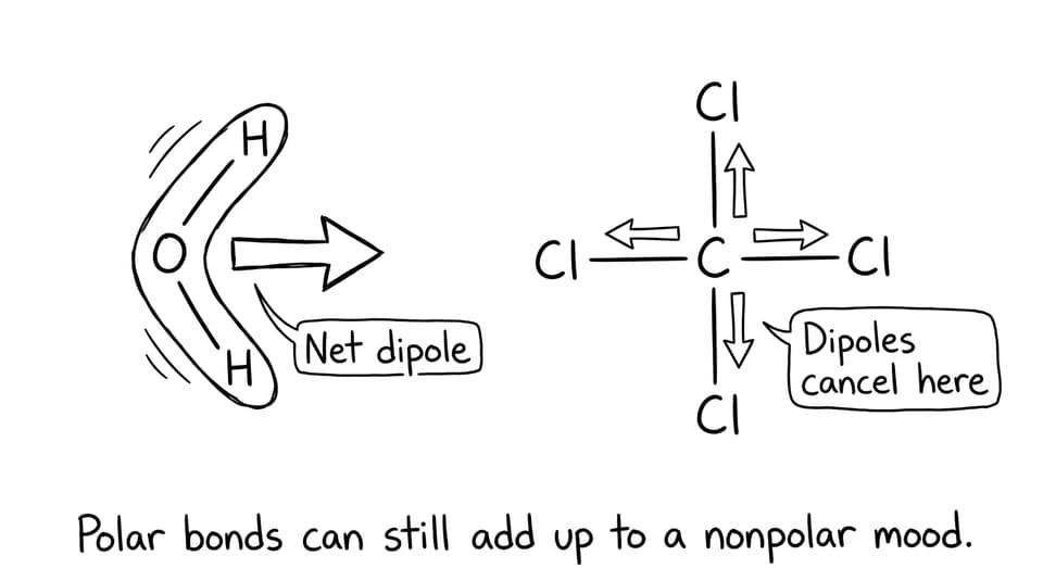 Polar vs nonpolar mood joke